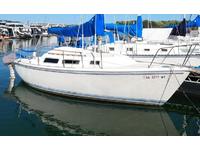 1983 Buford Georgia 25 Catalina 25