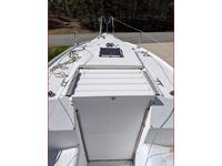 Hunter  Click to launch Larger Image