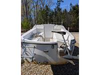 Hunter  Click to launch Larger Image