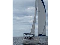 Gulfstar  Click to launch Larger Image