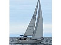 Gulfstar  Click to launch Larger Image