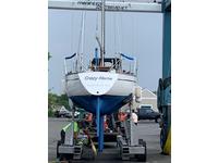 Aphrodite 101 Click to launch Larger Image