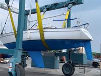 Aphrodite 101 Click to launch Larger Image