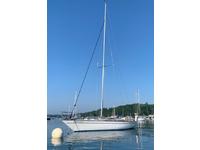 Aphrodite 101 Click to launch Larger Image