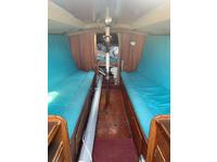 Aphrodite 101 Click to launch Larger Image