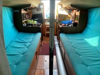 Aphrodite 101 Click to launch Larger Image