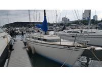 Pearson 323 Click to launch Larger Image