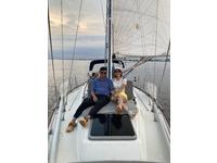 Sabre 36 Racer/cruiser Click to launch Larger Image