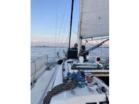 Sabre 36 Racer/cruiser Click to launch Larger Image