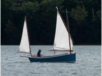  Catbird Click to launch Larger Image