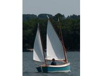  Catbird Click to launch Larger Image