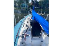 Santana santana 23 Click to launch Larger Image