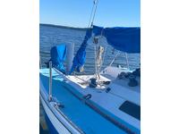 Santana santana 23 Click to launch Larger Image