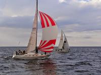 Tartan Tartan 33 Click to launch Larger Image