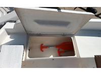 Newport 16 Click to launch Larger Image