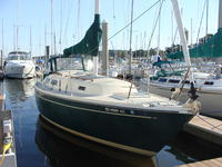 CAL 31 Click to launch Larger Image