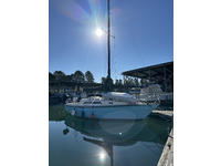 Islander Bob Perry Click to launch Larger Image