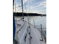 Pearson 36-2 Click to launch Larger Image