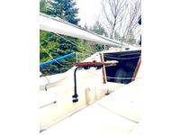 Oday 222 Click to launch Larger Image