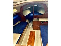 Oday 222 Click to launch Larger Image