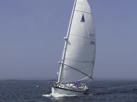 Hinterhoeller Nonsuch Click to launch Larger Image