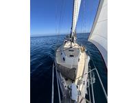 Island Packet 38