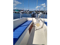 Starwind 223 Click to launch Larger Image