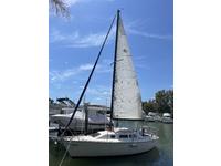 SEAWIND STARWIND Rebel Click to launch Larger Image