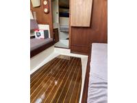 SEAWIND STARWIND Rebel Click to launch Larger Image