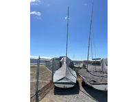 Zim Sailing c420 Click to launch Larger Image