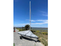 Zim Sailing c420 Click to launch Larger Image