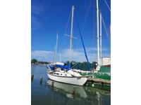Allied Seawind 30