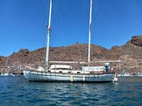 Ingrid 38 38 Ketch Click to launch Larger Image