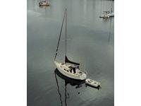 1979 Swantown Marina Olympia Wa Washington 30 Newport 30 MkII