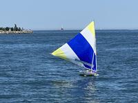 Sunfish Laser PerformanceVanguard  Click to launch Larger Image