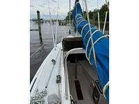 catalina C250 Click to launch Larger Image