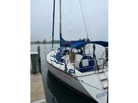 Express 35 Sailboat Click to launch Larger Image