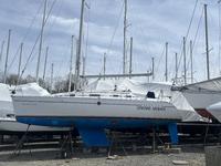 Beneteau First 310 Click to launch Larger Image