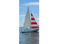 Cal Cal sailboat