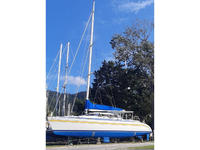 1986 Chaguaramas TT  52 Custom 53