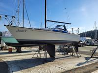 C&C Yachts 27 Mk V Click to launch Larger Image