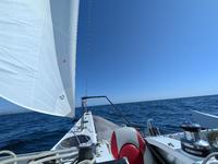 Chesapeake Light Craft Madness 31-Foot Pacific Proa Click to launch Larger Image