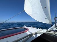 Chesapeake Light Craft Madness 31-Foot Pacific Proa Click to launch Larger Image