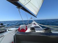 Chesapeake Light Craft Madness 31-Foot Pacific Proa Click to launch Larger Image
