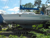 Catalina 28 Mark II - ESTATE SALE Click to launch Larger Image