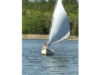 Cape Cory CD14