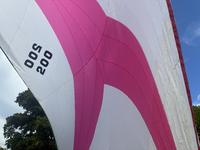 Boston Spinnaker for Ultimate 20 Ultimate 20 Click to launch Larger Image