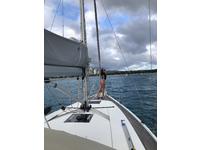 Hanse 385 Click to launch Larger Image