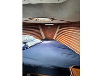 Freedom Yachts  Tillotson-Pearson Freedom 36 Click to launch Larger Image