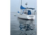 Freedom Yachts  Tillotson-Pearson Freedom 36 Click to launch Larger Image